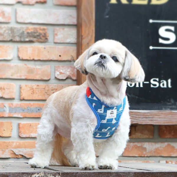 ITSDOG - Pet Swimming Duck Harness Online Sale
