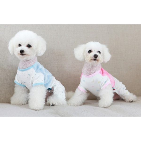 ITSDOG - Pet Baby Bear Fur All In One For Sale