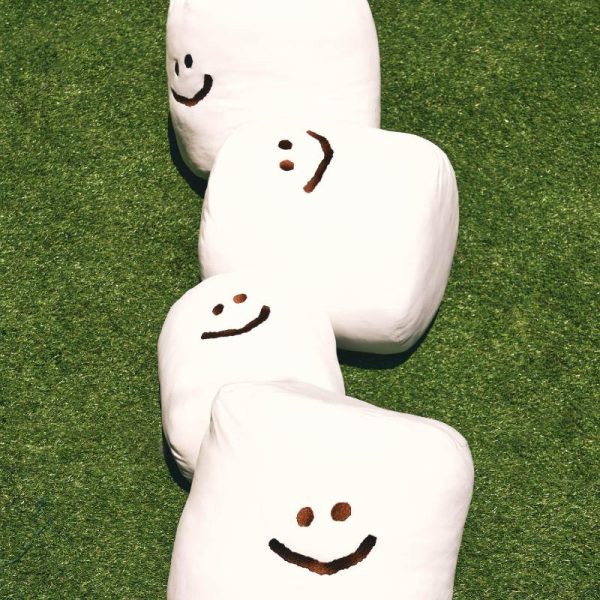 Dinotaeng - Giant Marsh on the field Cushion Fashion - Image 5