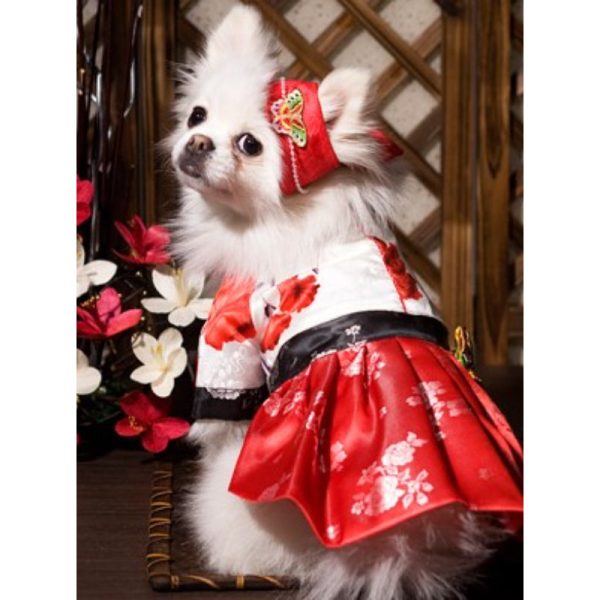 ITSDOG - Pet Female Butterfly Ayam For Discount - Image 5