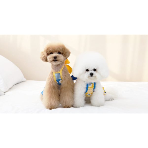 ITSDOG - Pet Daisy Beach One Piece For Cheap