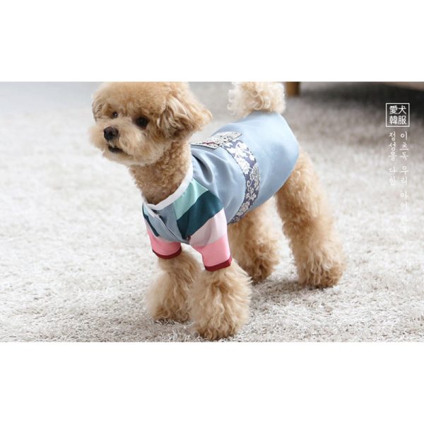 ITSDOG - Handmade Pet Prince Seohyun Hanbok Online Hot Sale - Image 3