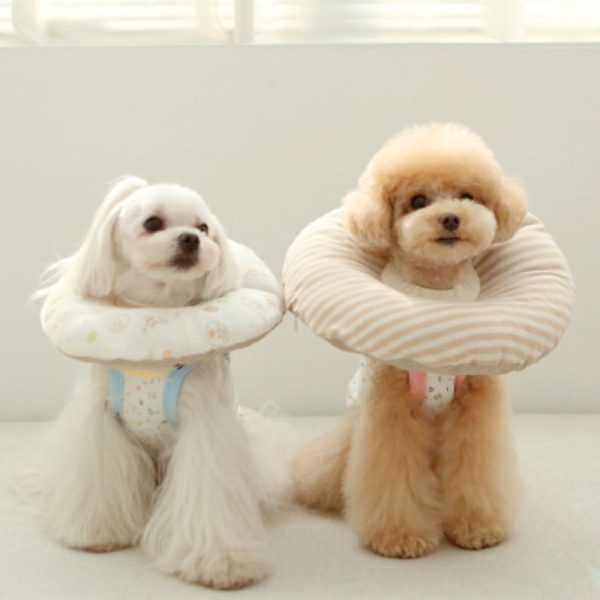 ITSDOG - Pet Organic Neck Collar on Sale