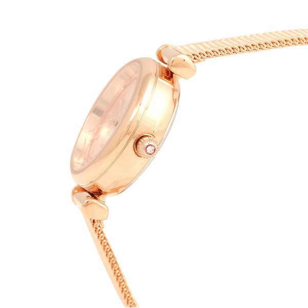 Le Petit Prince x OST - Planet Roses Rose Gold Mesh Watch Sale - Image 4