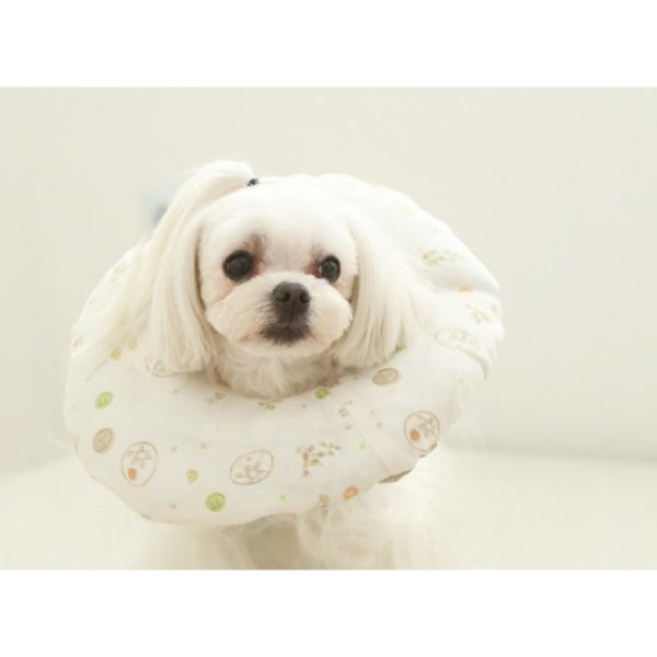 ITSDOG - Pet Organic Neck Collar on Sale - Image 5