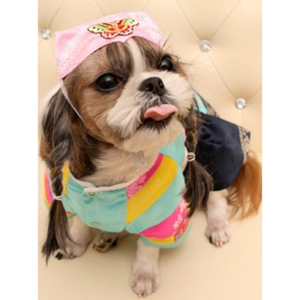 ITSDOG - Pet Female Butterfly Ayam For Discount - Image 3