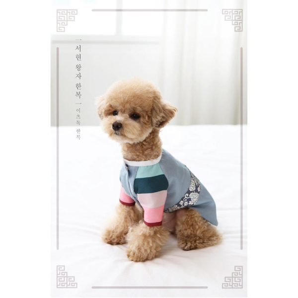 ITSDOG - Handmade Pet Prince Seohyun Hanbok Online Hot Sale - Image 2