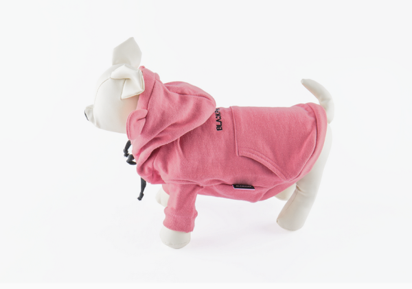 BlackPink - In Your Area Pet Hoodie Online now - Image 3