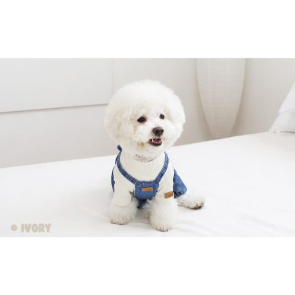 ITSDOG - Pet Milk Jelly T-Shirt Online now - Image 4
